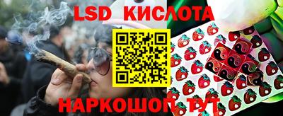 гидропоника Канаш