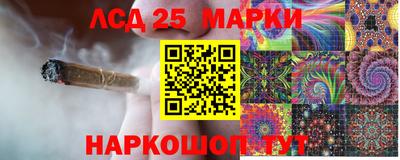 гидропоника Канаш